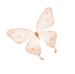 mariposa beige